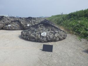 ボトルユニット　完成